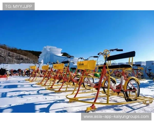 雪地竞技激情四射，滑雪爱好者选择最适合的装备提升体验，雪地滑雪的那个游戏叫什么